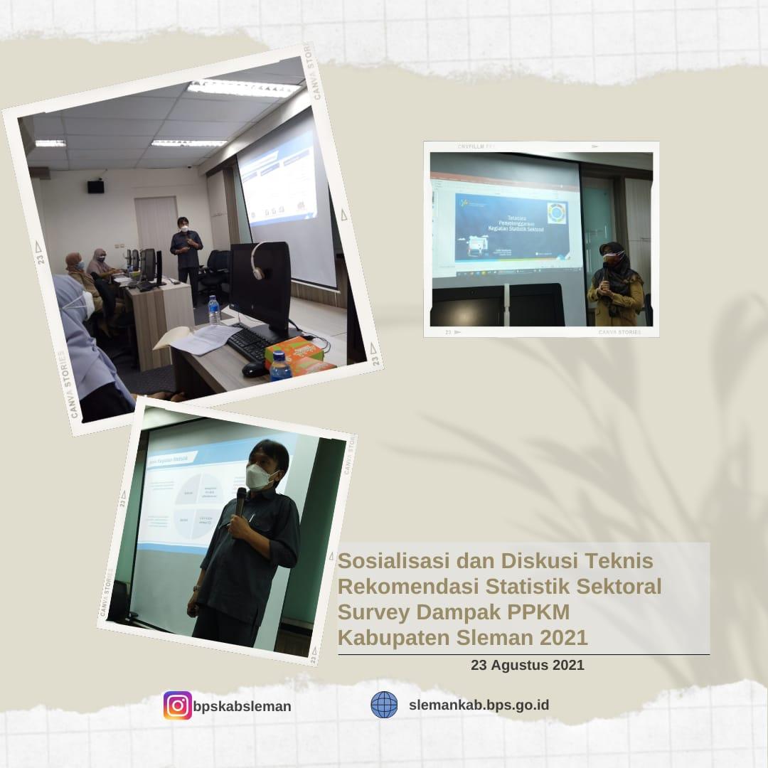 Socialization and technical discussion of Procedures for Implementing Sectoral Statistics