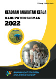 Keadaan Angkatan Kerja Kabupaten Sleman 2022