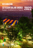 Kecamatan Seyegan Dalam Angka 2022